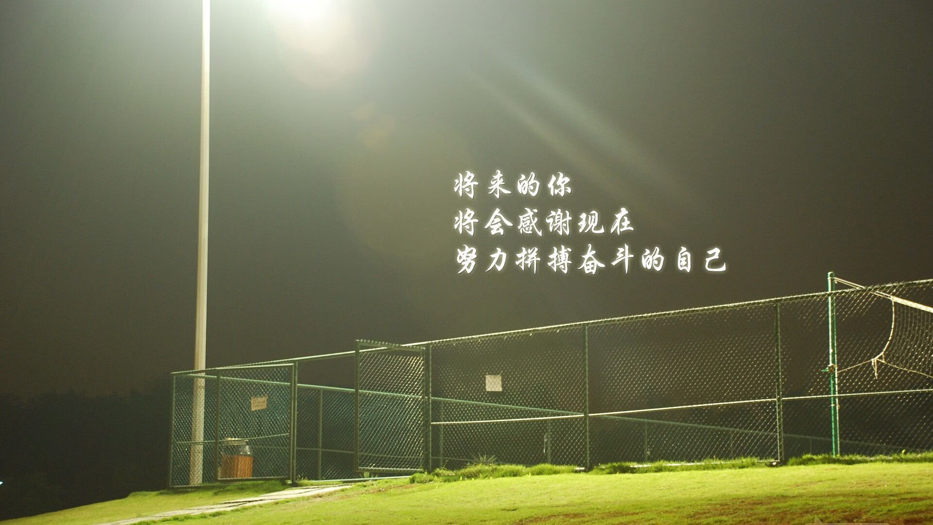 日本队奋勇前进，目标明确！，日本队队员