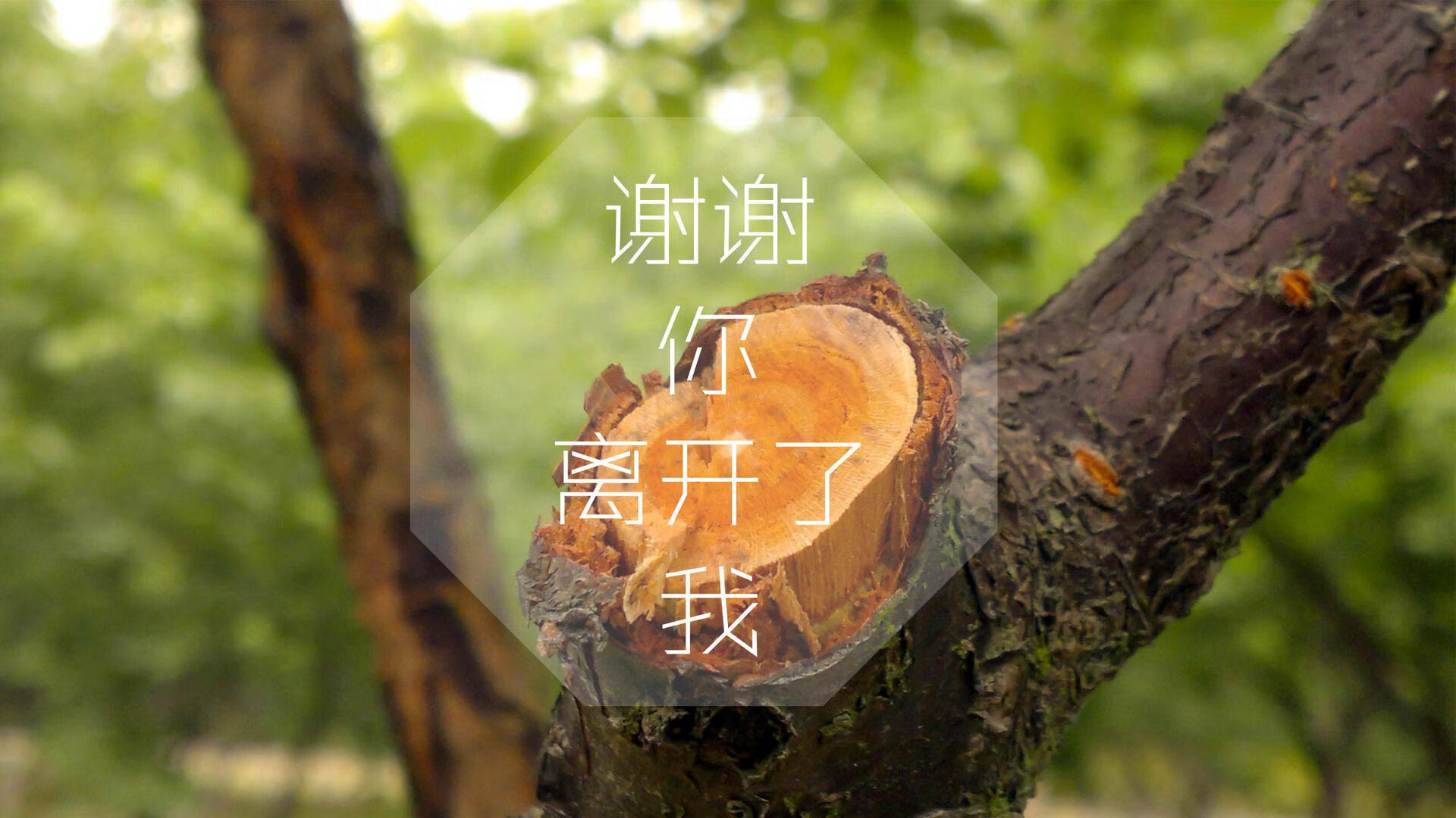 九游app下载中心-尤文图斯主场迎战AC米兰，尤文图斯对ac米兰集锦