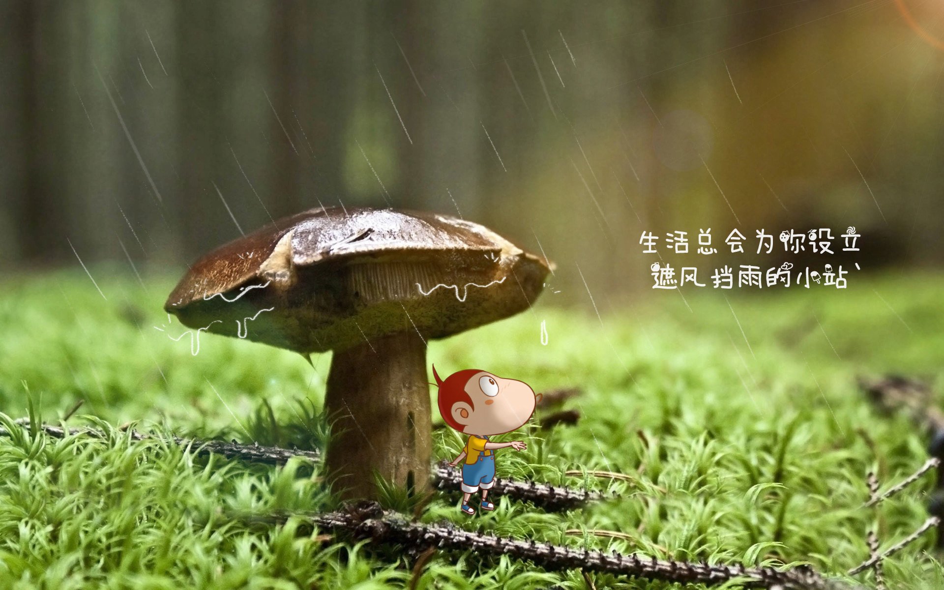 智能体育装备数据分析技术应用研究，智能化体育运动设备