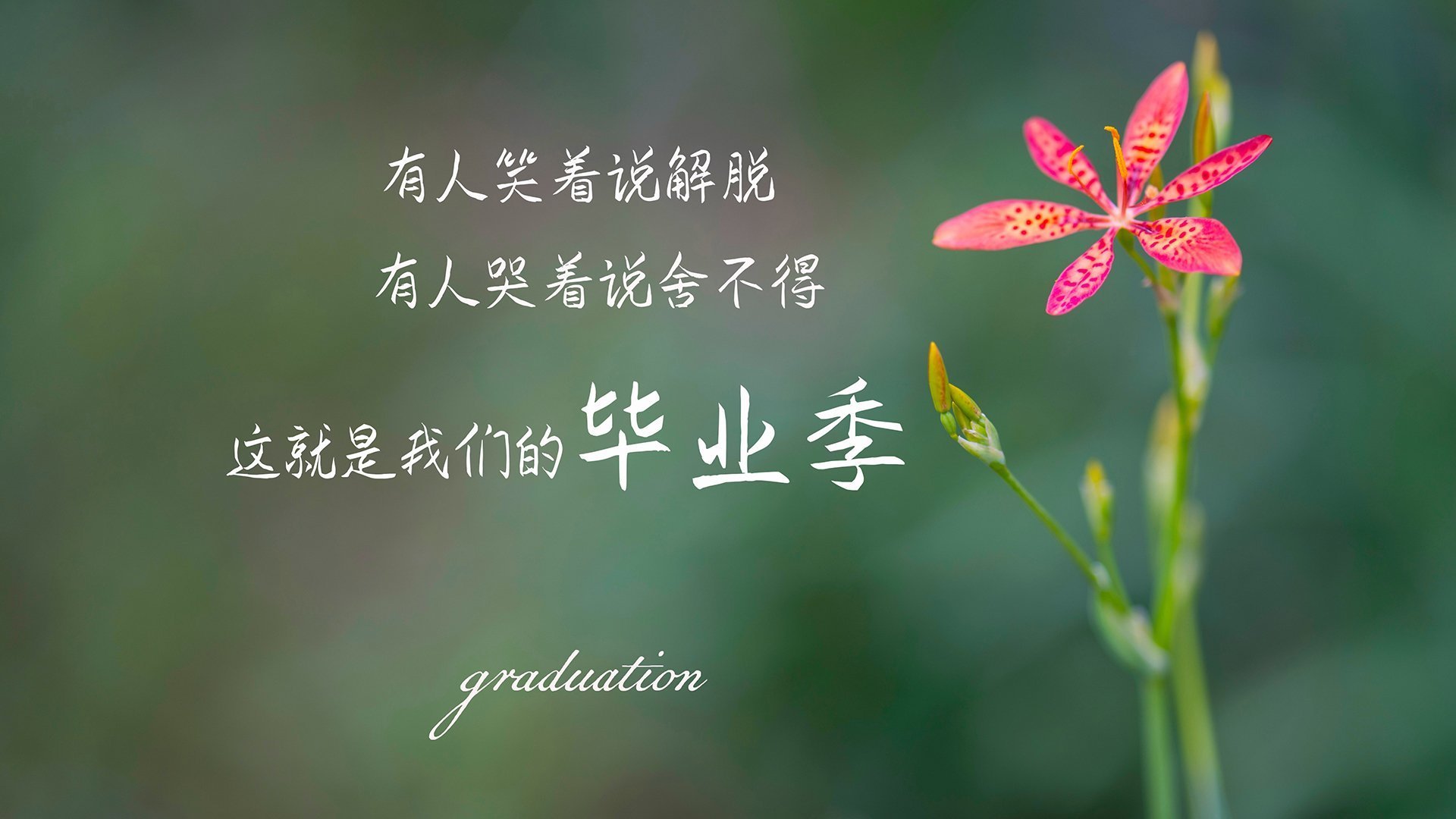 篮球运动员训练计划科学制定与实施效果评估，篮球运动员运动素质训练方案设计