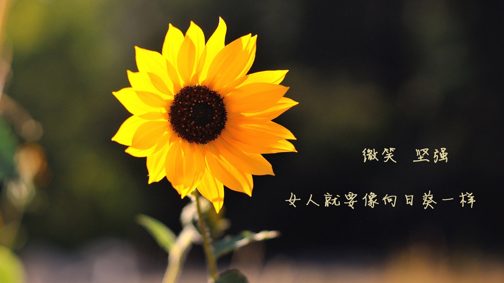 弗兰:凭借突破后精准的判断,他总能为全黑队带来进攻机会,弗兰实力