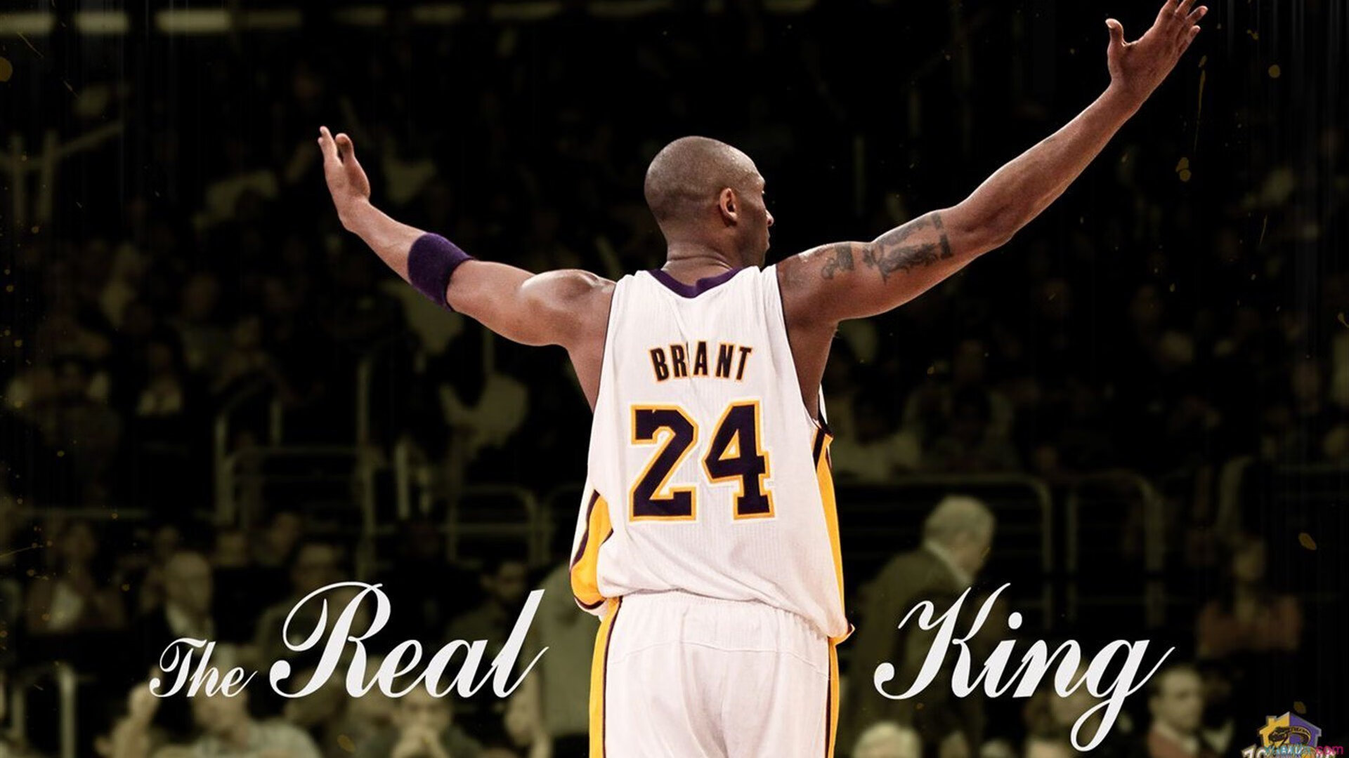 _都市网球节：城市中的运动嘉年华_，中国城市网球联赛