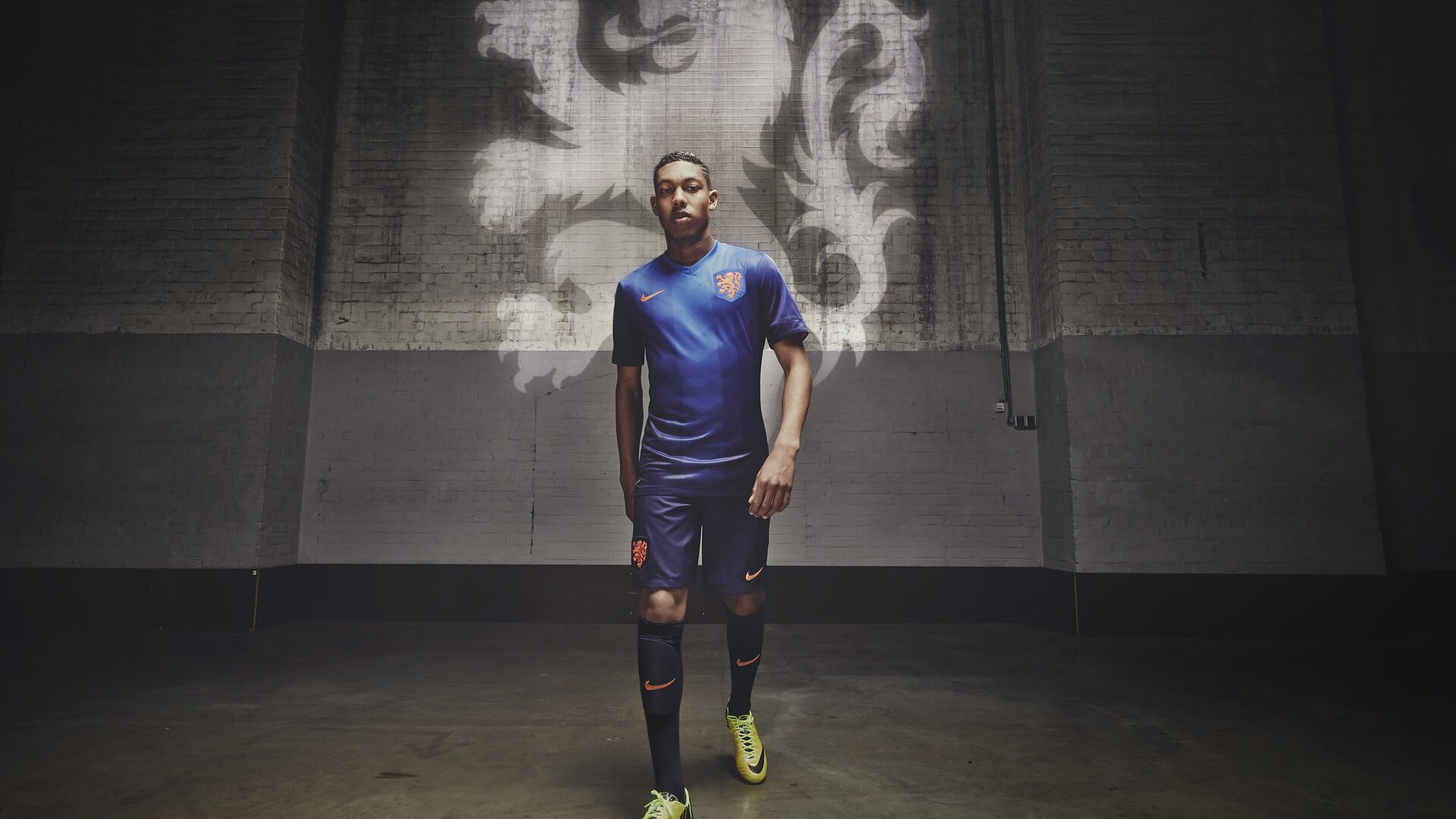 比利时马术协会建立马匹基因数据库，促进马匹选育与训练。，比利时的马